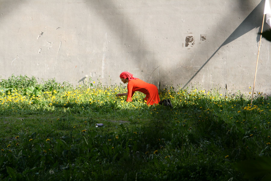 Disposition / התמצאות 46